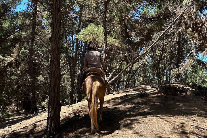 Randonnée à pied et à cheval sur la plage de Mauco Hill De VALPARAISO