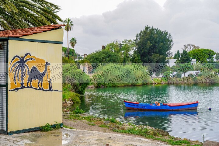 Cartago, Museo del Bardo, Sidi Bou Said y Medina Tour privado de un día