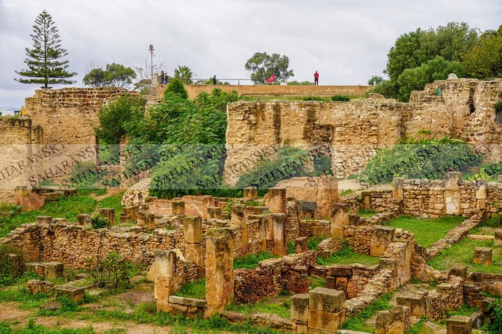 Cartago, Museo del Bardo, Sidi Bou Said y Medina Tour privado de un día