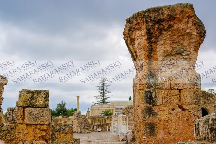 Cartago, Museo del Bardo, Sidi Bou Said y Medina Tour privado de un día