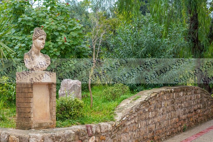 Cartago, Museo del Bardo, Sidi Bou Said y Medina Tour privado de un día