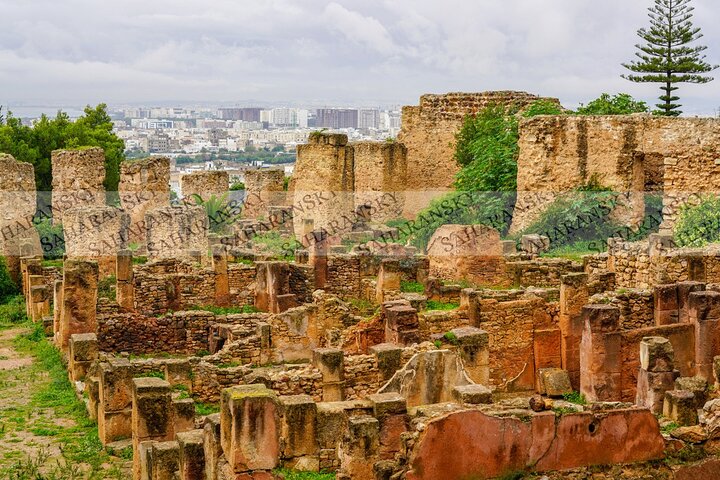 Cartago, Museo del Bardo, Sidi Bou Said y Medina Tour privado de un día