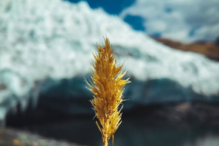 Huaraz: Glaciar Pastoruri - Excursión de un día - Hielo y aventura