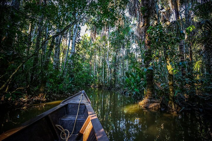 Iquitos: Scoperta della foresta amazzonica di 2 giorni - Tour della giungla di Iquitos