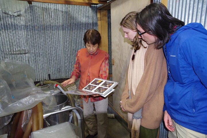 Matsumoto Castle, Sake & lokale hapjes wandeltocht