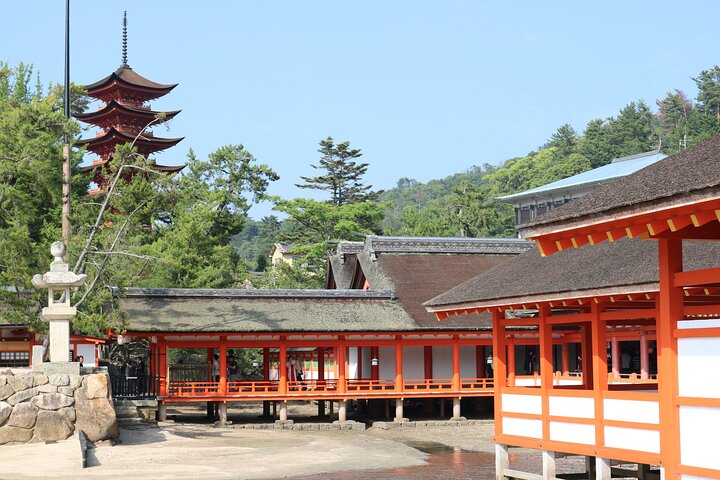 Tour en autobús de 1 día por Hiroshima y Miyajima