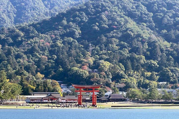 Tour en autobús de 1 día por Hiroshima y Miyajima