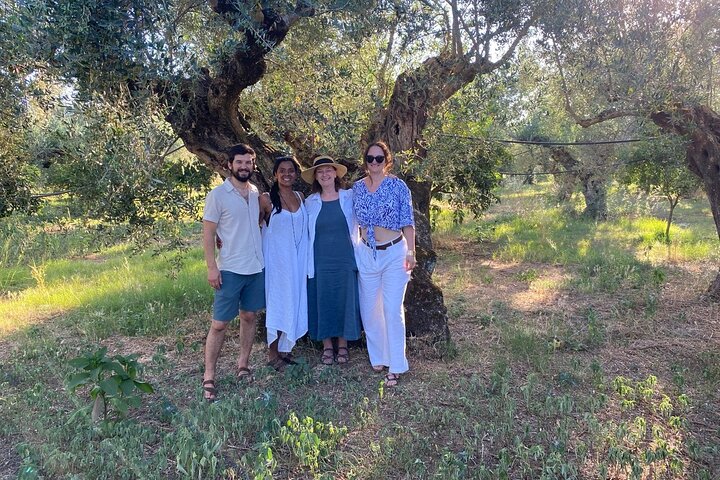 Ekologisk Olive Grove tur & Olivoljeprovning & lunch i Kalamata!