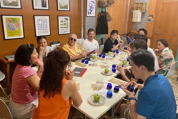 Ekologisk Olive Grove tur & Olivoljeprovning & lunch i Kalamata!