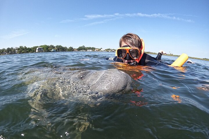 Klassische Crystal River Manatee Schwimmtour mit kostenlosen Fotos