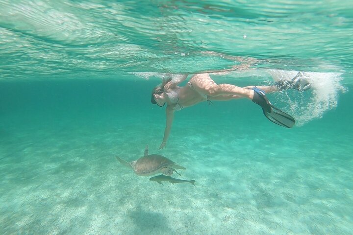 Nassau 3-stops: Snorkeling, Swimming Pigs, Turtles & Lunch