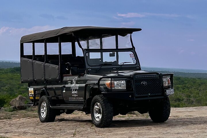 Safari de medio día en Kruger desde Malelane, Marloth Park & Komatipoort