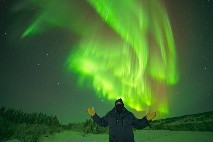 Aurore boréale - Aurore avec photos GRATUITES - Arctic Night Tours