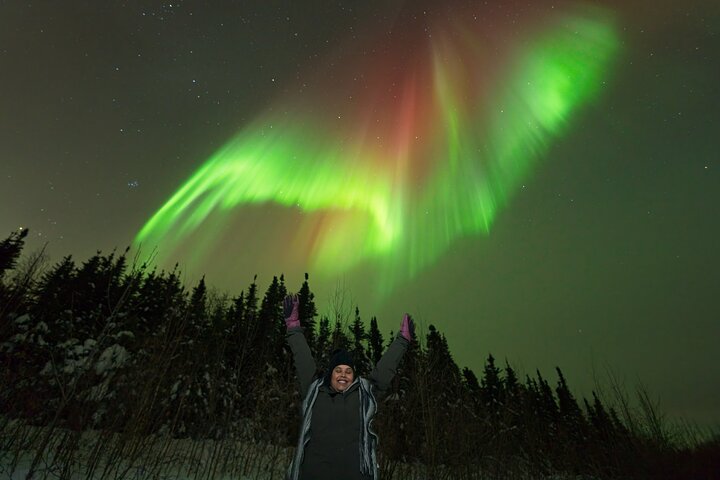 Aurore boréale - Aurore avec photos GRATUITES - Arctic Night Tours