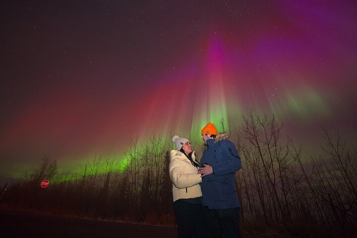Aurore boréale - Aurore avec photos GRATUITES - Arctic Night Tours