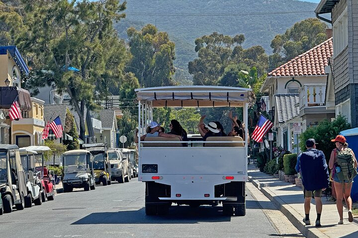 Catalina Island City en schilderachtige Mount Ada Tour