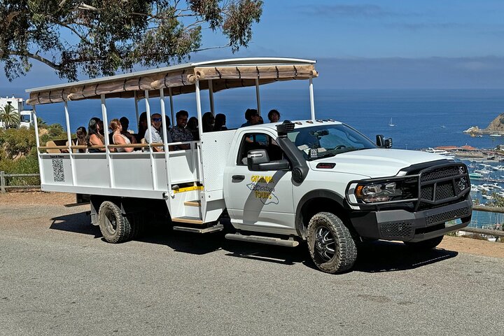 Catalina Island City en schilderachtige Mount Ada Tour