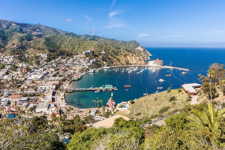 Catalina Island City en schilderachtige Mount Ada Tour