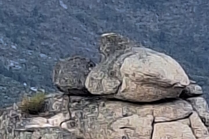 Guidad vandring i Serra da Estrela – Vildsvinsleden och berättelser