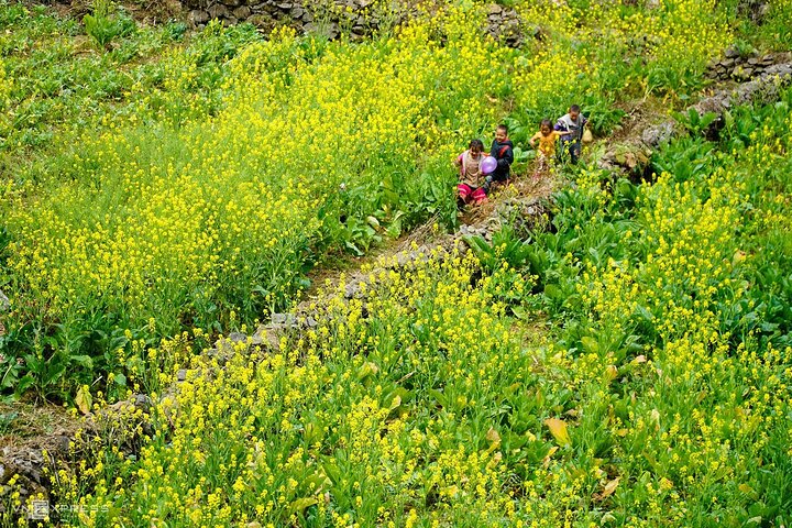 4D3N Ha Giang Loop Grupptur från Ha Giang