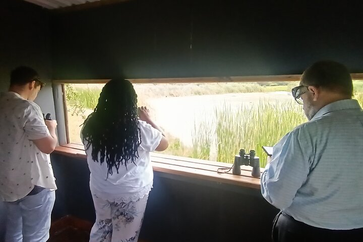 Passeio guiado pelo Kragga Kamma Game Park Safari em Port Elizabeth