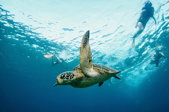 Dagsutflykt till Nusa Penida Snorkling och landstur