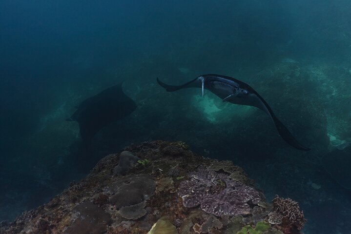 Dagsutflykt till Nusa Penida Snorkling och landstur