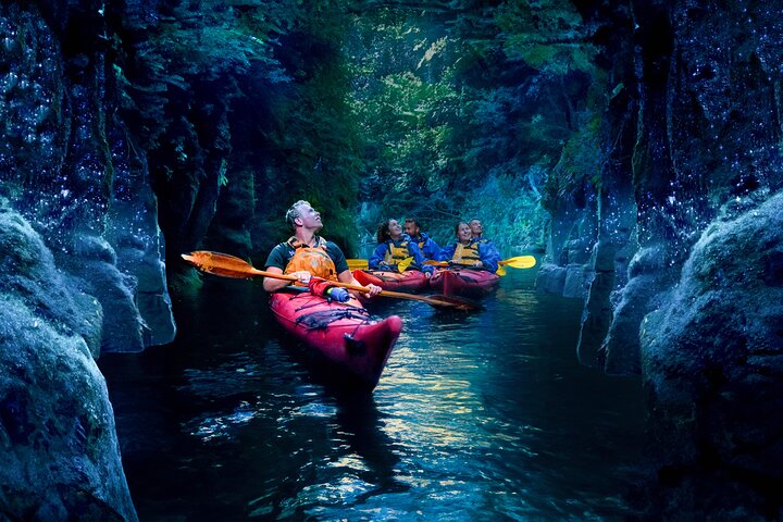 Tauranga : Tour en kayak por la noche en gusano resplandeciente