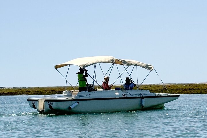 Eco Boat Tour i Ria Formosa Lagoon från Faro