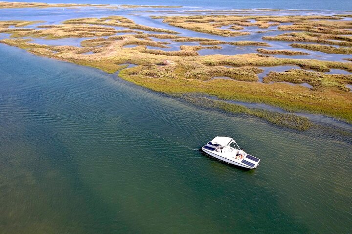 Eco Boat Tour i Ria Formosa Lagoon från Faro