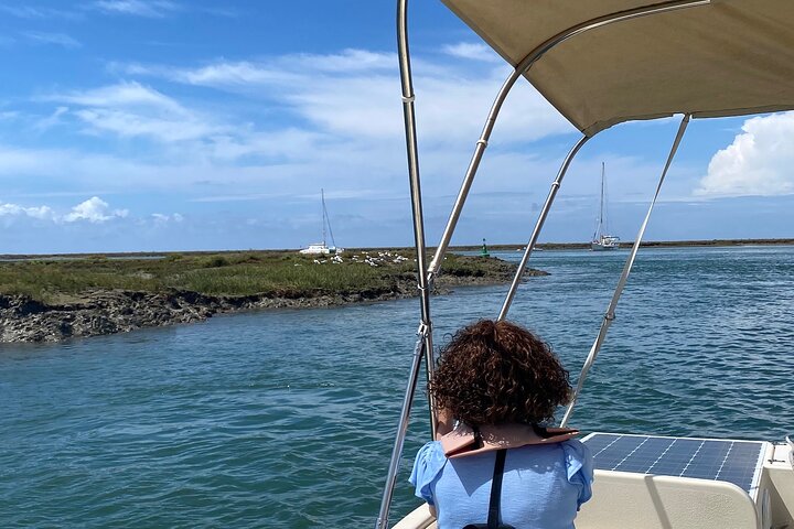 Eco Boat Tour i Ria Formosa Lagoon från Faro