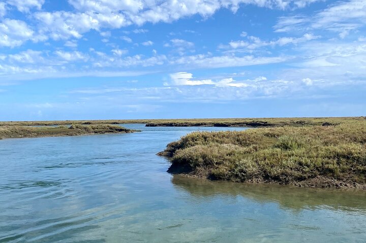 Eco Boat Tour i Ria Formosa Lagoon från Faro