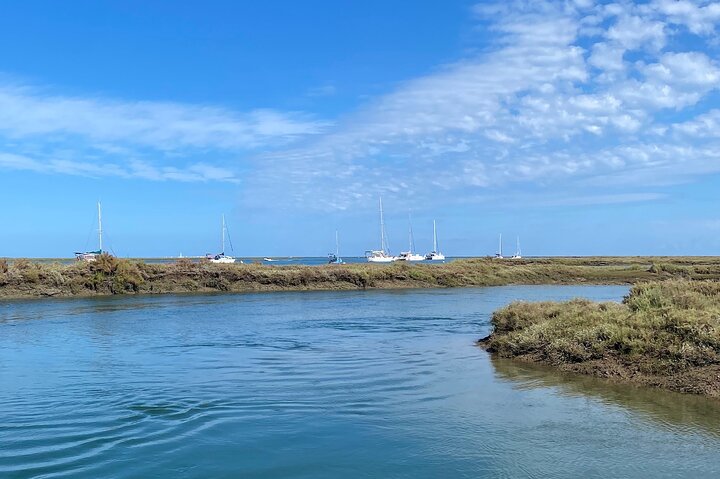 Eco Boat Tour i Ria Formosa Lagoon från Faro