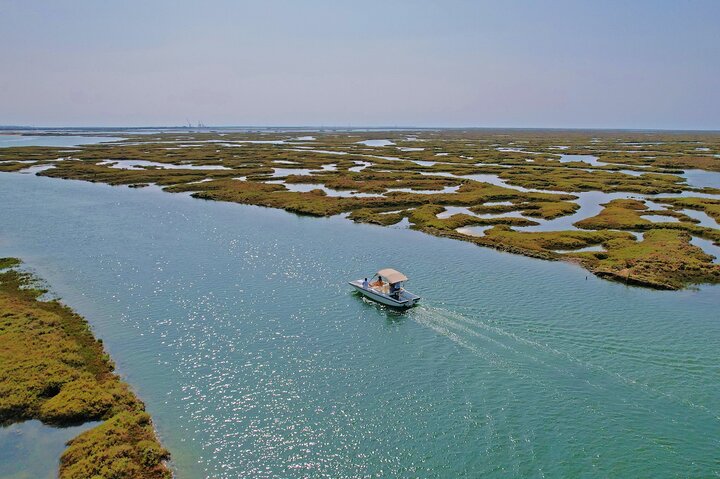Eco Boat Tour i Ria Formosa Lagoon från Faro