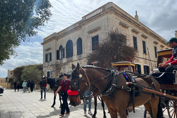 Mdina og Rabat Walking Tour inkl. Katakombene og St. Pauls grotte