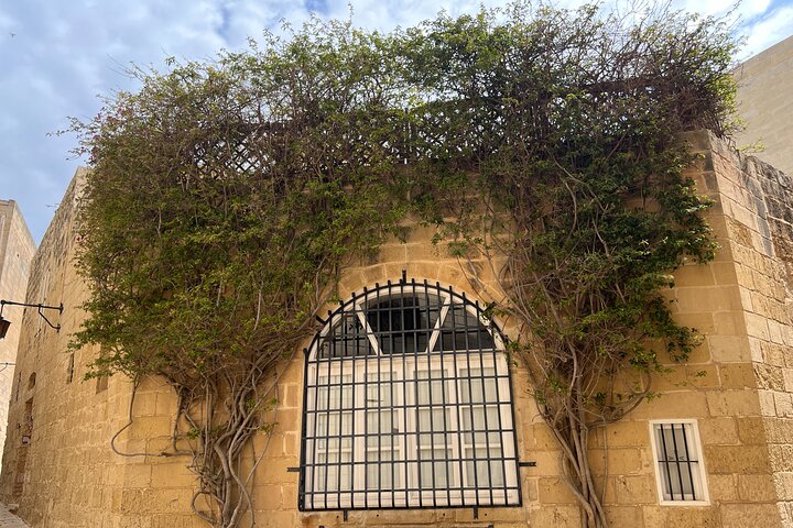 Mdina og Rabat Walking Tour inkl. Katakombene og St. Pauls grotte