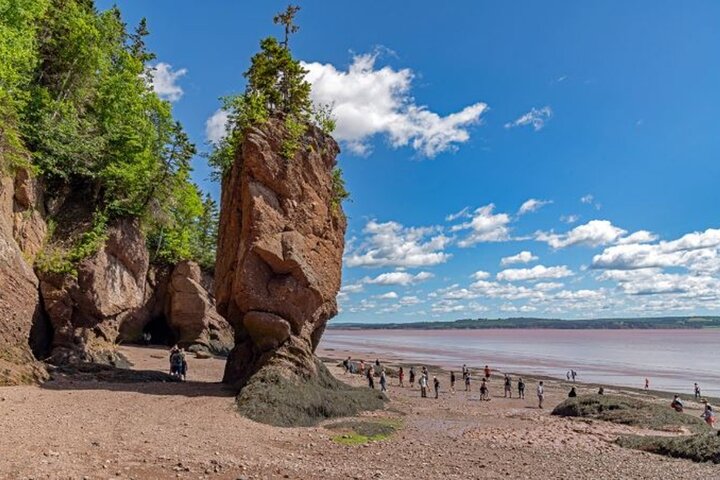 Saint John (NB) Bay of Fundy und Hopewell Rocks Private Tour