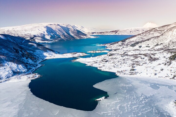 Vanuit Kiruna : Dagtrip naar Narvik City en Fjord