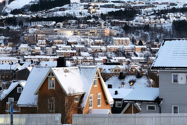 Vanuit Kiruna : Dagtrip naar Narvik City en Fjord