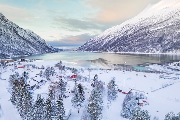 Vanuit Kiruna : Dagtrip naar Narvik City en Fjord