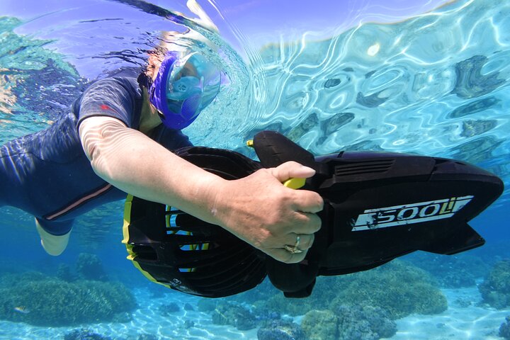 Sea Scooter Jet snorkling: svømme med skilpadder, stråler og haier