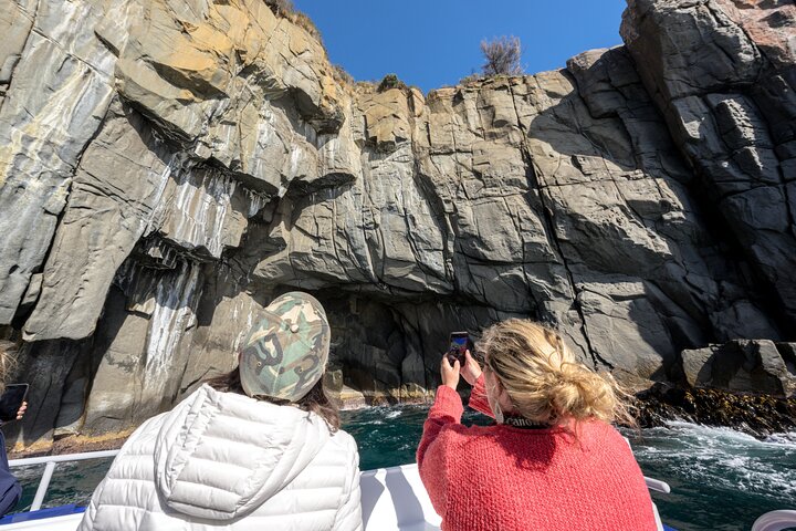 90 minuten Cape Raoul Cruise en Port Arthur Historic Site toegang