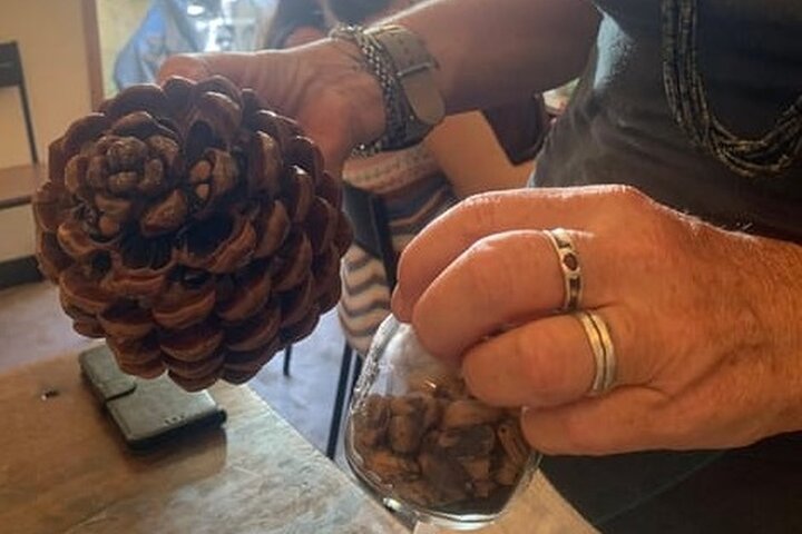 Cinque Terre: Autentisk Pesto matlagingsklasse og vin i Manarola