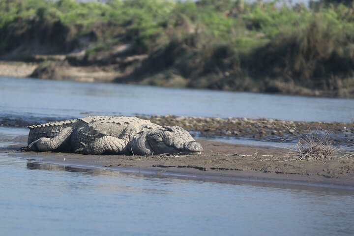 Jeep-Safari (Sharing, 4 - 5 Stunden) im Chitwan-Nationalpark.