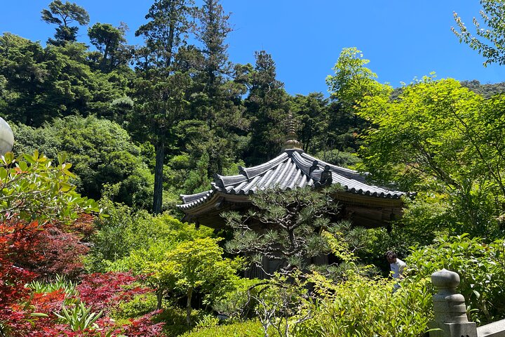 Private Miyajima : Itsukushima Shrine, Island Natur og lokal Guide