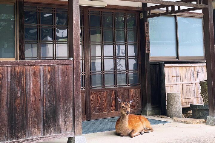 Private Miyajima : Itsukushima Shrine, Island Natur og lokal Guide