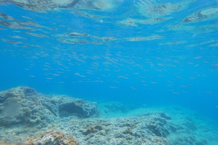 Costa Brava - Kajakken en snorkelen "Sea Caves" Tour