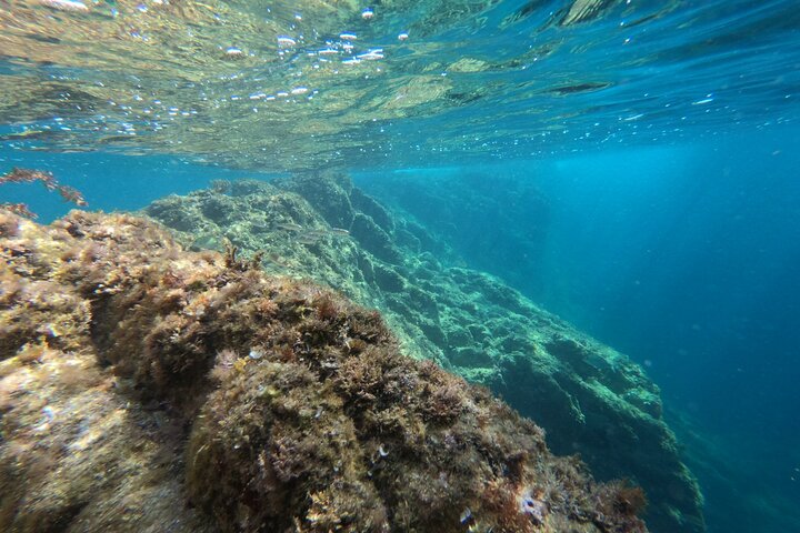 Costa Brava - Kajakken en snorkelen "Sea Caves" Tour