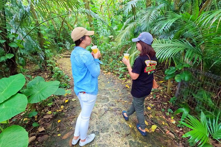 Ishigaki Island Private Tour med lokal guide på engelsk