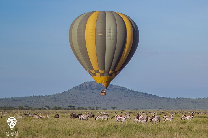 Safari en montgolfière et petit déjeuner dans le Serengeti - Miracle Experience